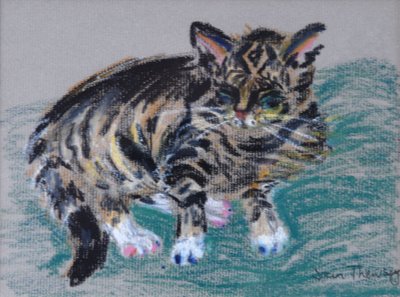 Tekir Kedi,2005 (pastel) by Joan Thewsey