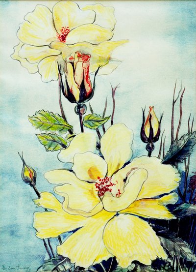 Suffolk Esintisinde Sarı Gül,2005, (sulu boya) by Joan Thewsey