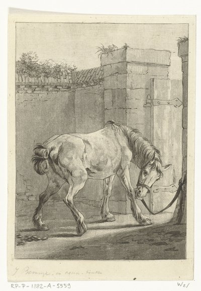 Bir direğe bağlı bir at by Joannes Bemme