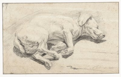 Yalancı köpek, uyku by Joannes Fijt (attributed to)