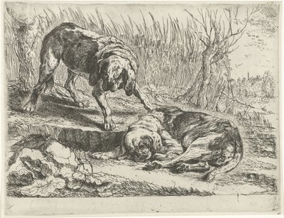 İki köpek Köpekler (dizi adı) by Joannes Fijt