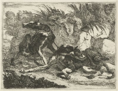 İki köpek Köpekler (dizi adı) by Joannes Fijt