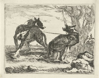 İki köpek Köpekler (dizi başlığı) by Joannes Fijt