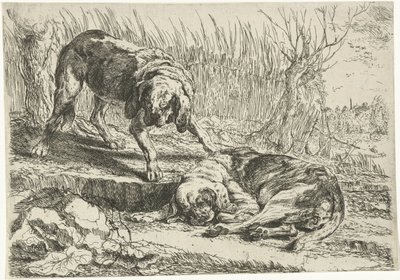 İki köpek Köpekler (dizi adı) by Joannes Fijt