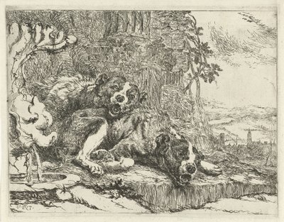 iki yalancı köpek Köpekler (dizi adı) by Joannes Fijt