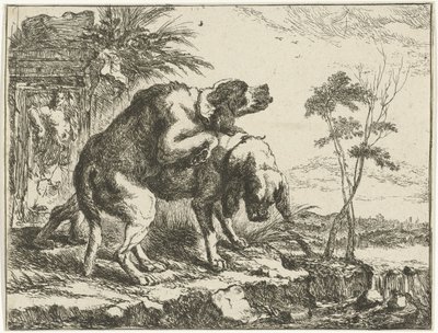 iki çiftleşen köpek Köpekler (dizi adı) by Joannes Fijt