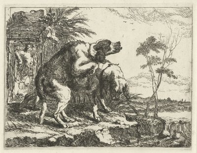 iki çiftleşen köpek Köpekler (dizi adı) by Joannes Fijt