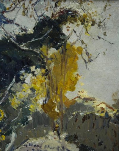 Baum by Joaquim Mir i Trinxet