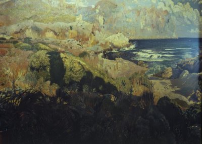 Sant Vicenç Koyu by Joaquim Mir i Trinxet