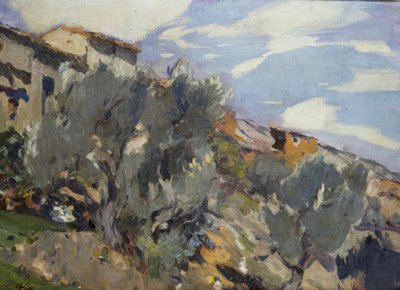 Köy, portakal bahçesi by Joaquim Mir i Trinxet