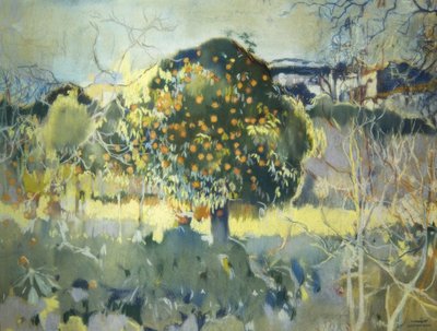 manzara by Joaquim Mir i Trinxet