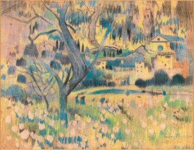 Maspujoller by Joaquim Mir i Trinxet