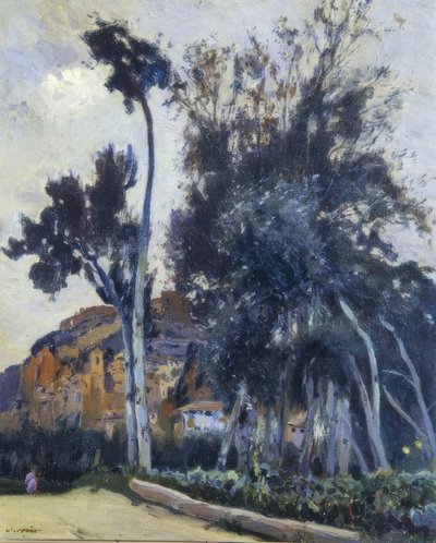 Miravet by Joaquim Mir i Trinxet