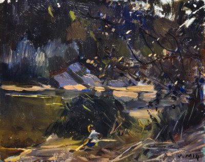 çalı by Joaquim Mir i Trinxet