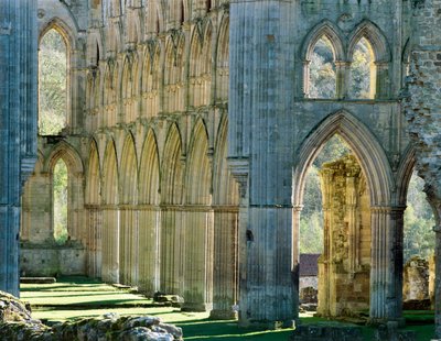 Rievaulx Manastırı, c1990-2010 by Joe Cornish