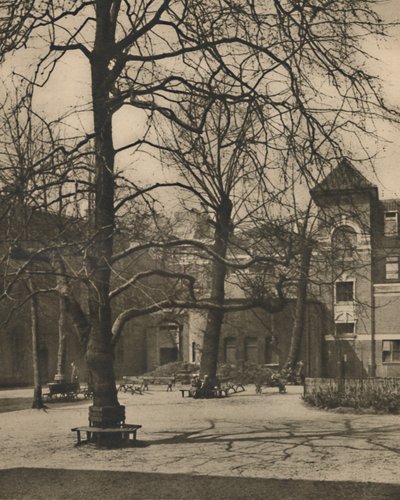 Middlesex Hastanesi Avlusunda Karaağaçların Altında, c1935. by Joel