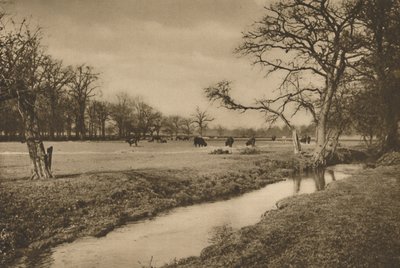 Beverley Brook