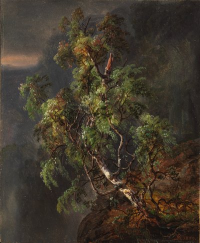  by Johan Christian Dahl