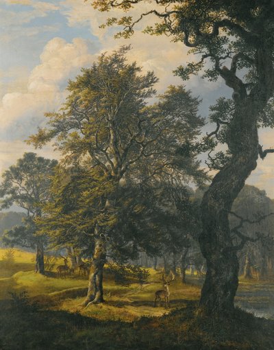  by Johan Christian Dahl