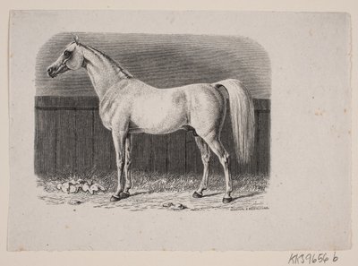 Bir at by Johan Frederik Rosenstand