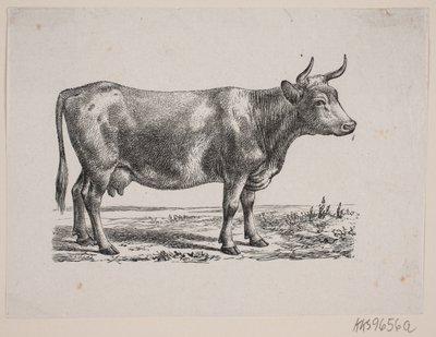 yen tozu by Johan Frederik Rosenstand