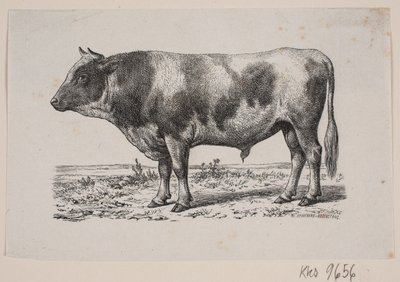 Bir boğa by Johan Frederik Rosenstand