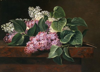 Bir Çıkıntıda Leylak, by Johan Laurents Jensen