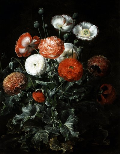 Egzotik gelincikler. Johan Laurentz Jensen (1800-1856) tarafından yapılmış resim Özel koleksiyon. by Johan Laurents Jensen