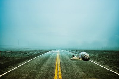 2020 way back, 2020 (dijital fotoğraf sanatı) by Johan Lilja