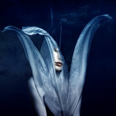 Güzel canavarlar 3, 2018 (dijital fotoğraf sanatı) by Johan Lilja