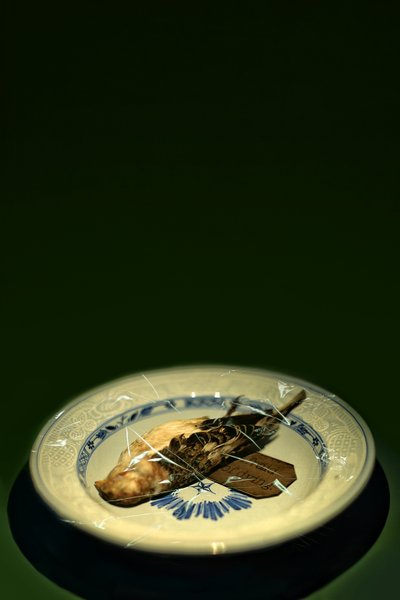 Kuş tabağı, 2015 (fotoğraf) by Johan Lilja