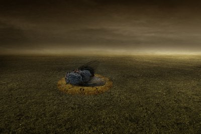 Bir hedefin sonu, 2013 (fotoğrafçılık) by Johan Lilja