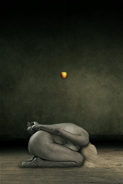 Kendimi sakla, 2013 (fotoğraf manipülasyonu) by Johan Lilja