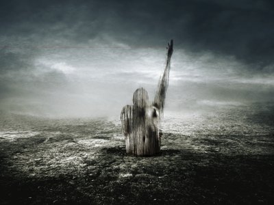 kırmızı çizgi, 2013 (fotoğraf) by Johan Lilja