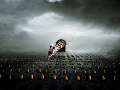 Ttulip hırsızı 2, 2013 (fotoğraf) by Johan Lilja