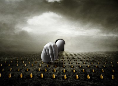 Lale hırsızı, 2013 (fotoğraf) by Johan Lilja