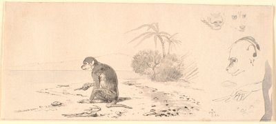 Abekatten. T.h. maymun kafaları çalışmaları m.m. by Johan Thomas Lundbye