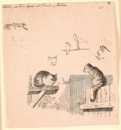 İki kedi. F.o. kedi kafaları, kuş, kedi kulağı ve kiriş çalışmaları. Kaalund
