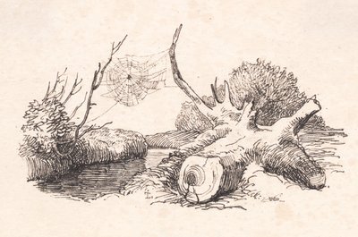 örümcekler by Johan Thomas Lundbye