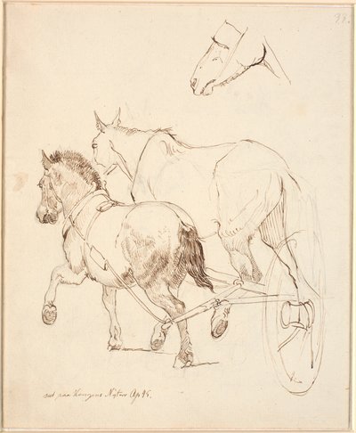 Bir Nordbagge ve sıradan bir at aynı arabaya koşuyor. F.o. At kafası by Johan Thomas Lundbye