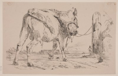 Ortak bir direğe bağlı bir boğa buzağı by Johan Thomas Lundbye