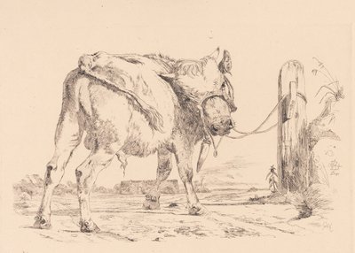 Ortak bir direğe bağlı bir boğa buzağı by Johan Thomas Lundbye