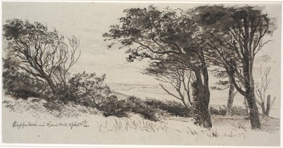 Rüzgarlı ağaçlar. hava yüksek by Johan Thomas Lundbye