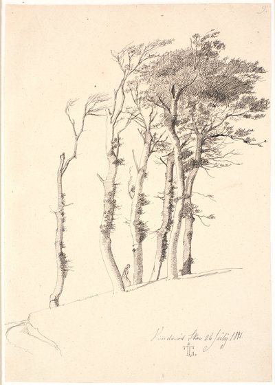 Rüzgarlı ağaçlar grubu by Johan Thomas Lundbye