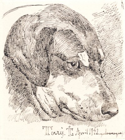 Hundehoved, Terry by Johan Thomas Lundbye