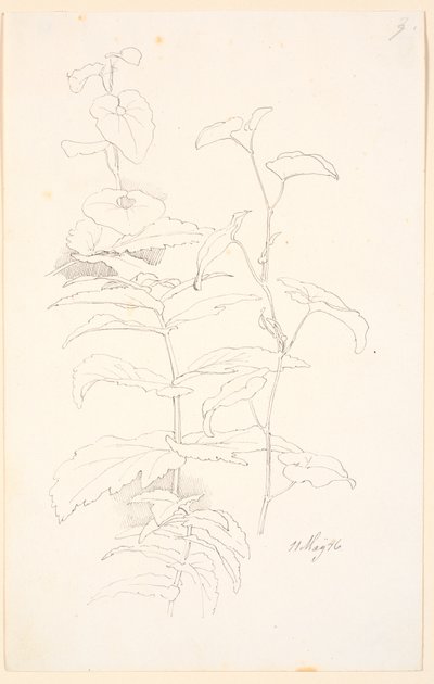 Bitki çalışmaları, i.a. hırıltılı by Johan Thomas Lundbye