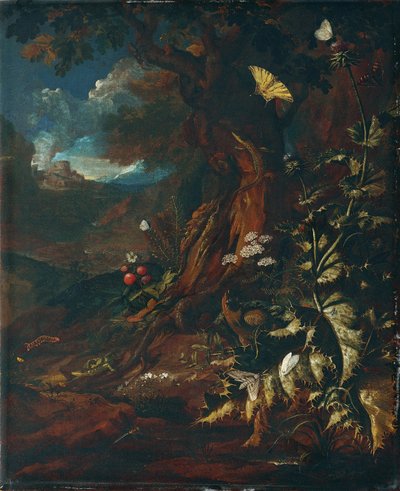 Sürüngenler ve böceklerle manzara (I) by Johann Adalbert Angermayer