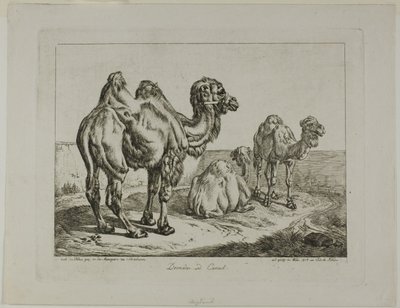  by Johann Adam Klein