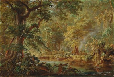 Yağmur ormanlarında bir nehrin yanında Brezilya Kızılderili kampı by Johann Adolf Höffler