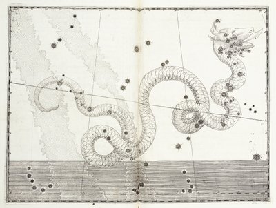 Yılan Başı ve Yılan Kuyruğu Takımyıldızı, c.1603 by Johann Bayer